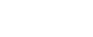 Fares E. Saadeh