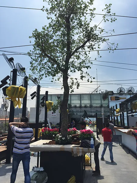 Rooftop bar and club, systems by SIMONIAN Technology